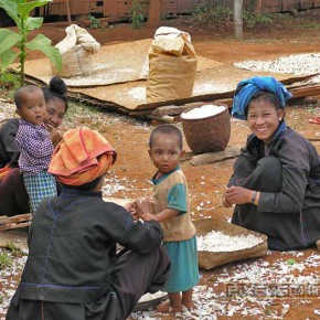 reise bericht myanmar kakku 18