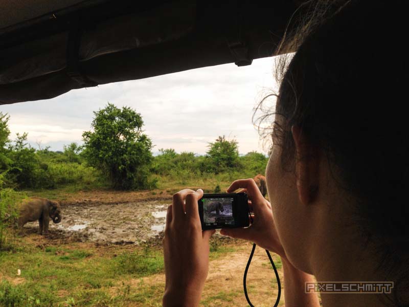 Safari im Udawalawe Nationalpark