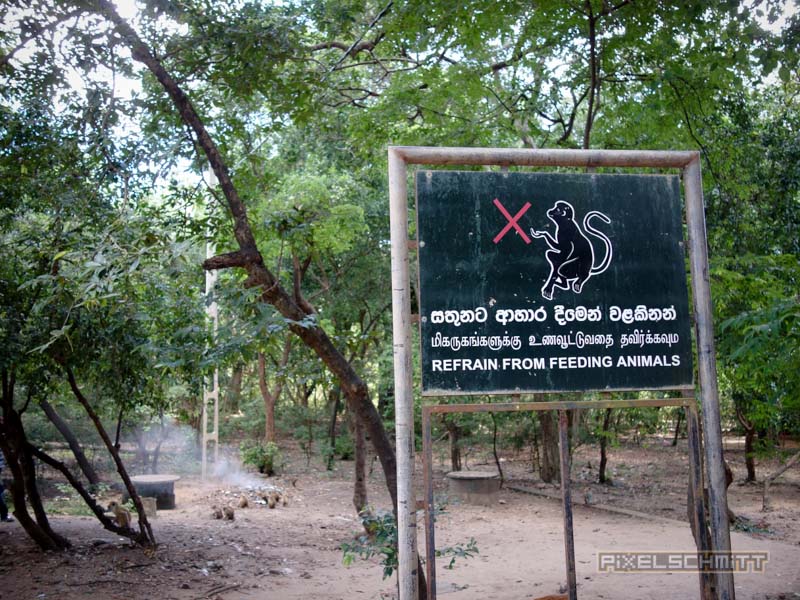 Polonnaruwa Sri Lanka