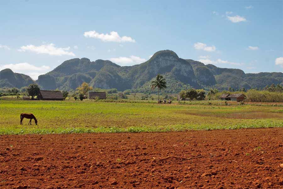 Viñales-Tal, Foto: Sonya Schlenk
