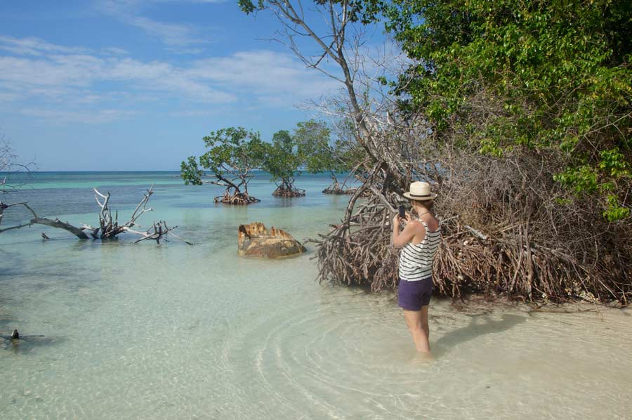 puryi-Cayo-Jutias-Kuba