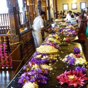 kandy sri lanka 10 zahntempel