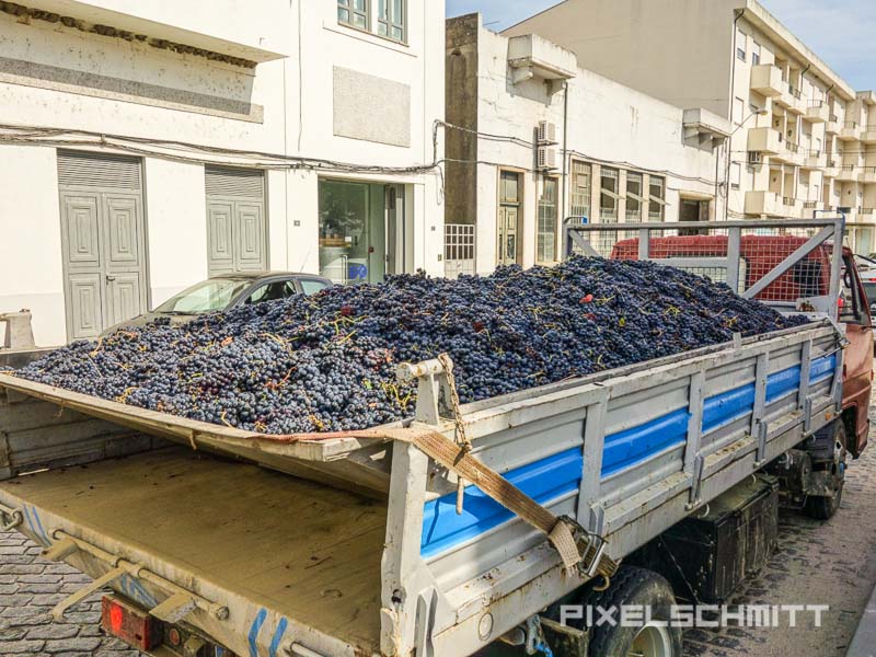 portugal-roadtrip-41