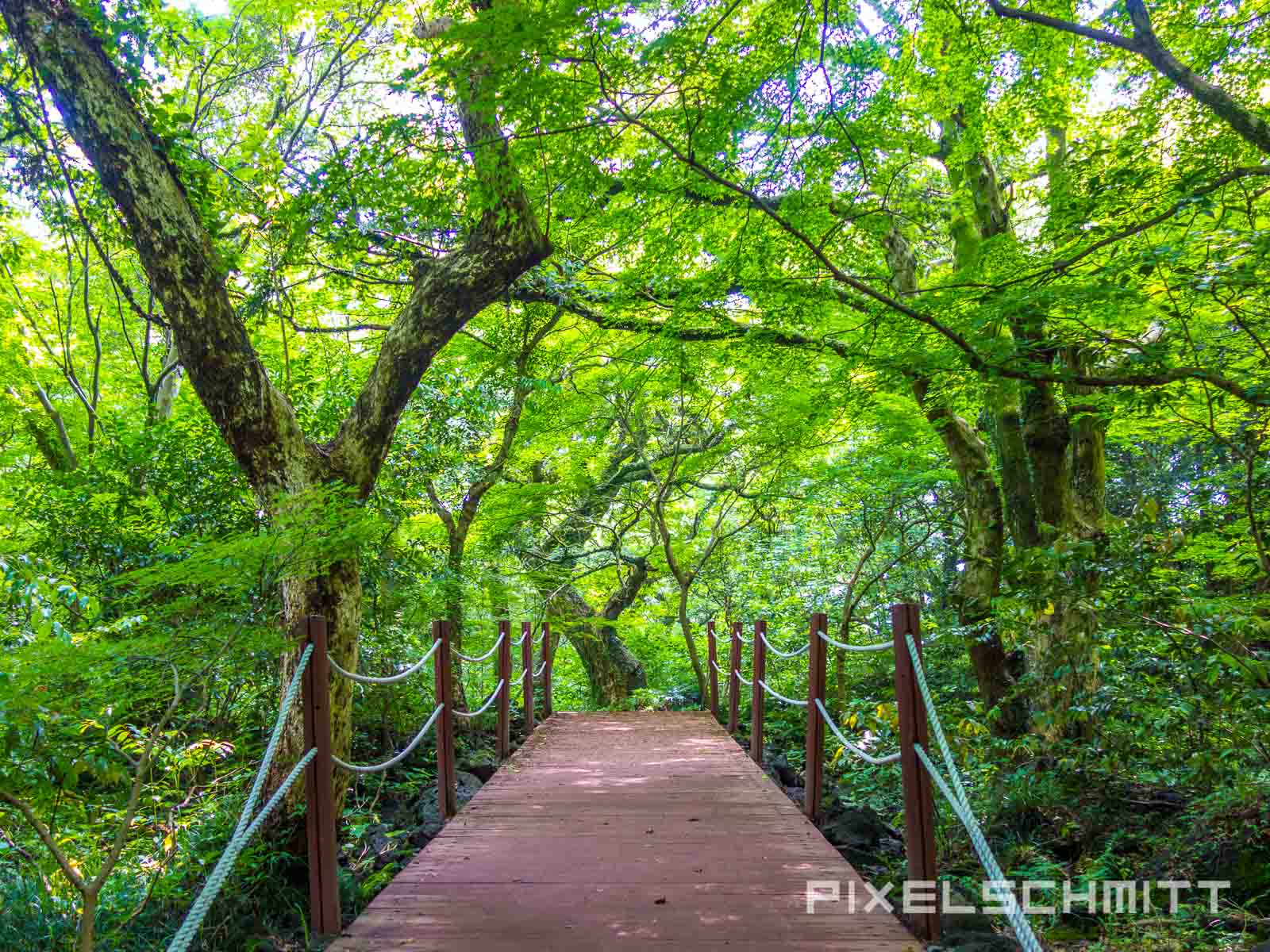 Jeju Island Südkorea