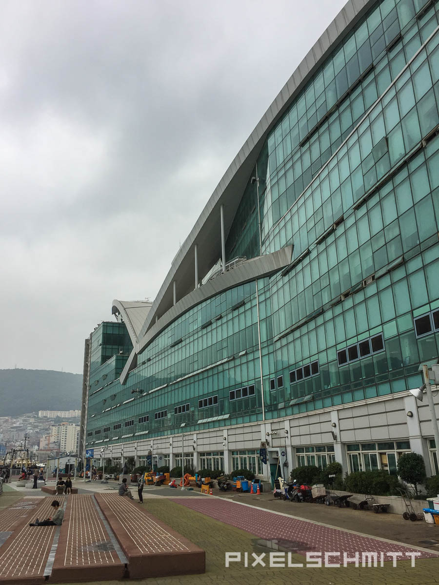 Der Fischmarkt von Busan - ein Industriebau eben