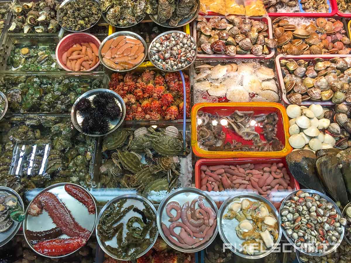 Fischmarkt Busan enorme Vielfalt