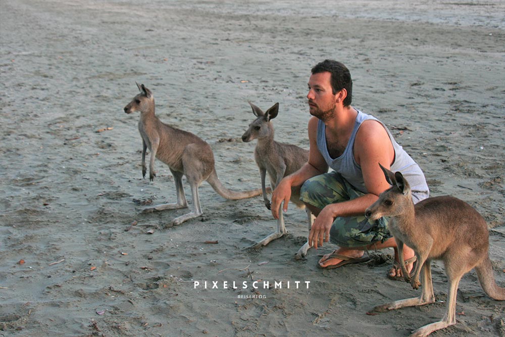 sabbatical australien