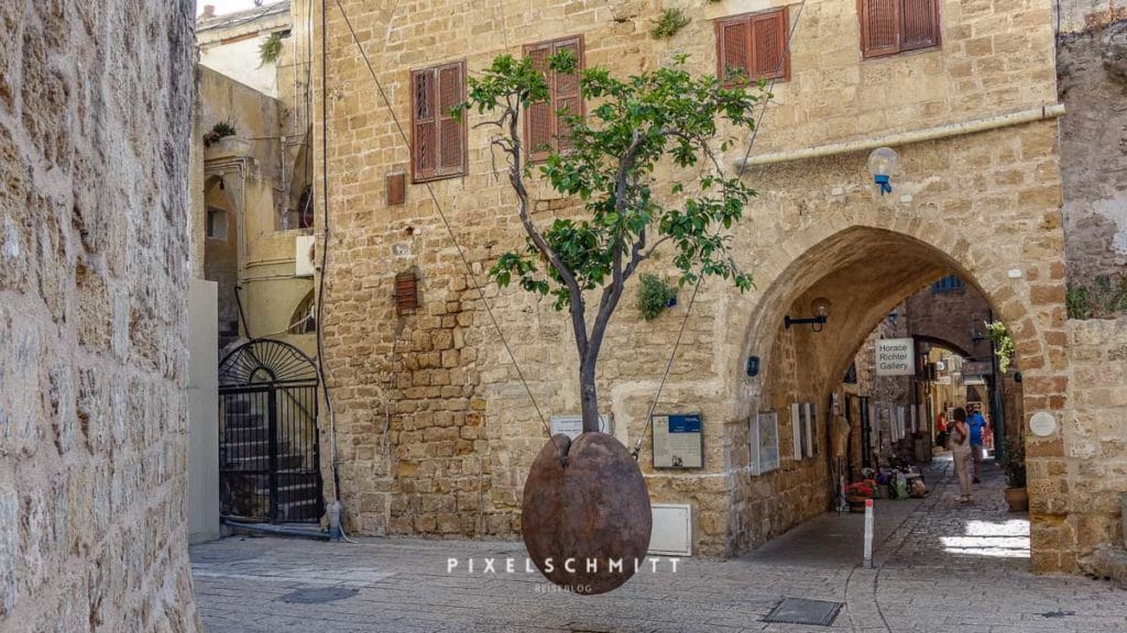 Der hängende Orangenbaum in der Altstadt von Jaffa