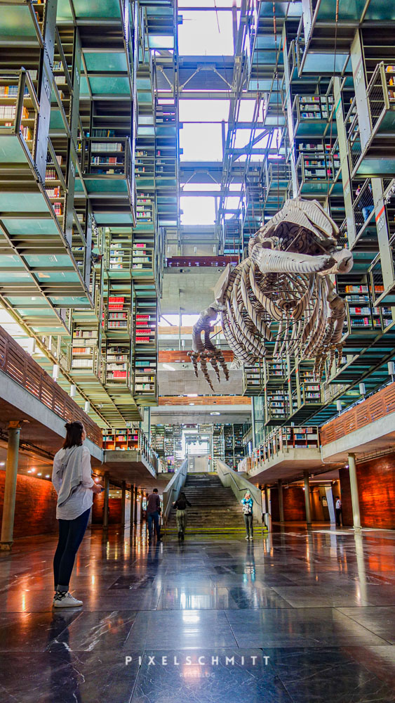 Mexico City Sehenswürdigkeiten: Die Bibliothek Vasconselos​ in Mexiko-Stadt